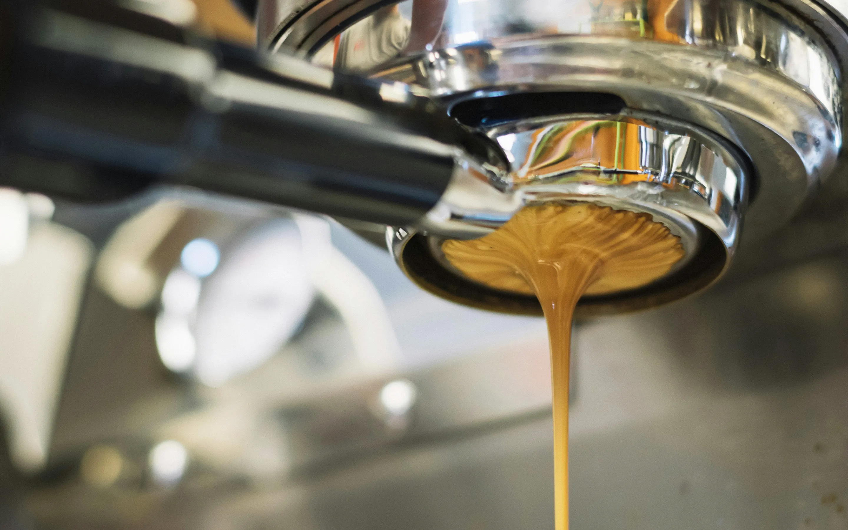 丁寧な抽出の様子